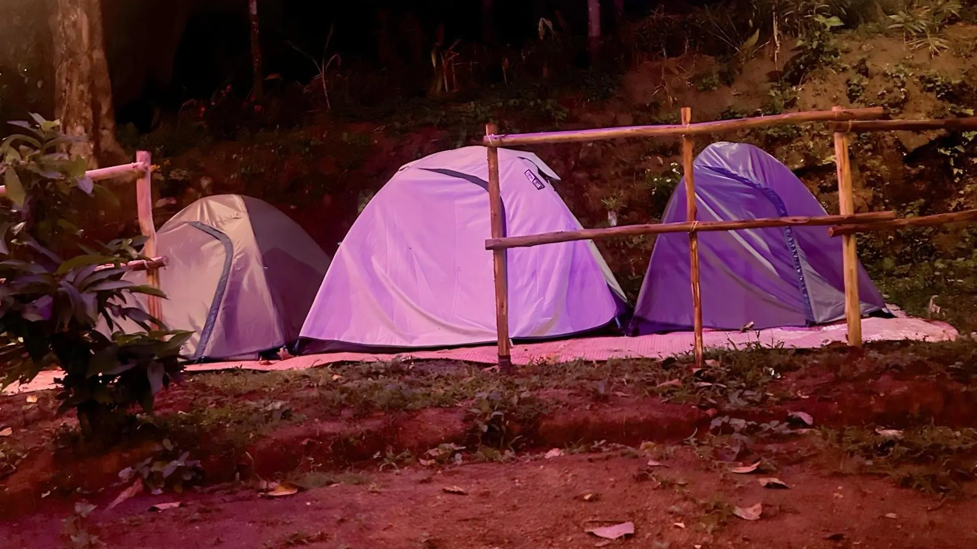 Campsite Spies Munnar Camping Hotel Chinnakanal